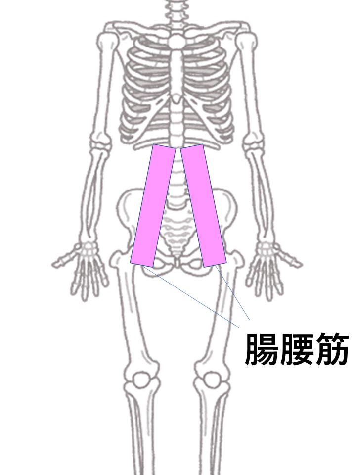 速く走る ブログ